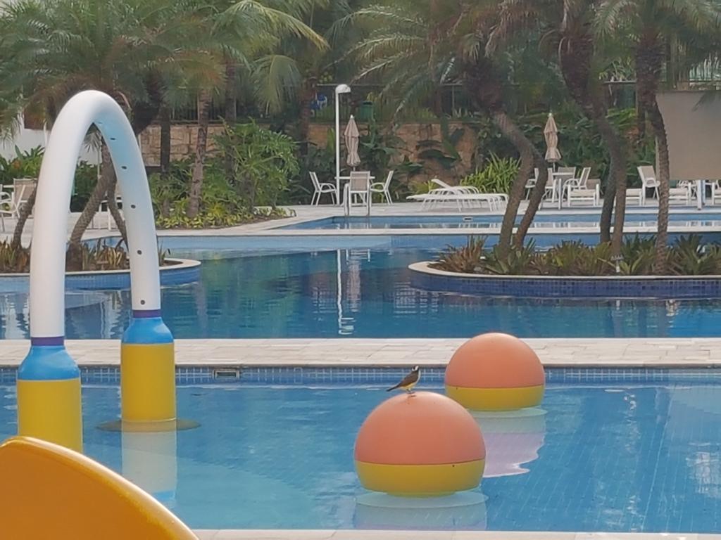 Sweet Comfort Apartment In Rio 리오데자네이루 외부 사진